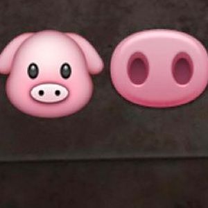 Meet your Posher, Bridget